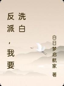 反派，我要洗白
